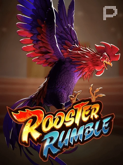 xxbr